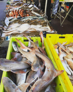 Screen Shot 2016-08-18 at 14.43.13